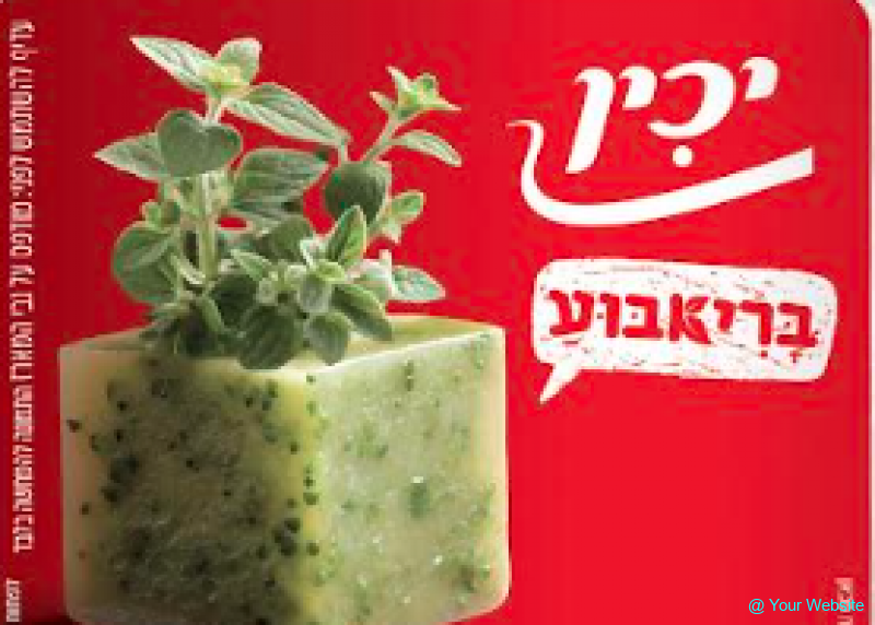 Yachin Expands “Briaboo” Frozen Herb Cube Range with Two New Mediterranean Flavors Yachin Expands “Briaboo” Frozen Herb Cube Range with Two New Mediterranean Flavors