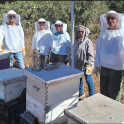 A Sweet Start to the New Year: Palace Modi’in Residents Visit Kibbutz Beekeeping Farm