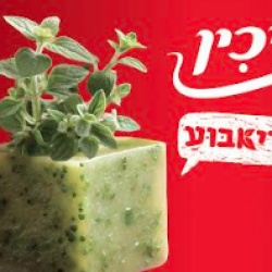 Yachin Expands “Briaboo” Frozen Herb Cube Range with Two New Mediterranean Flavors