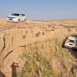 Ituran Study: OBD Coding Behind 56% of Vehicle Thefts in Israel