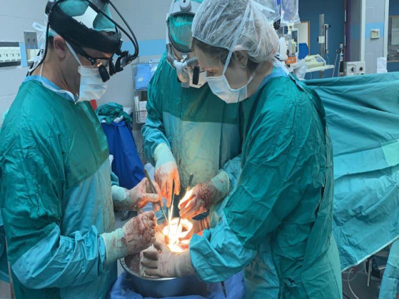 a Medical team from Beilinsom hospital performed 3 transplants in Cyprus 