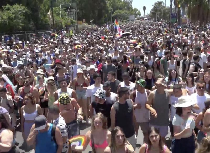 80,000 attended Tel_Aviv Pride parade - President Herzog salutes  gay community achievements