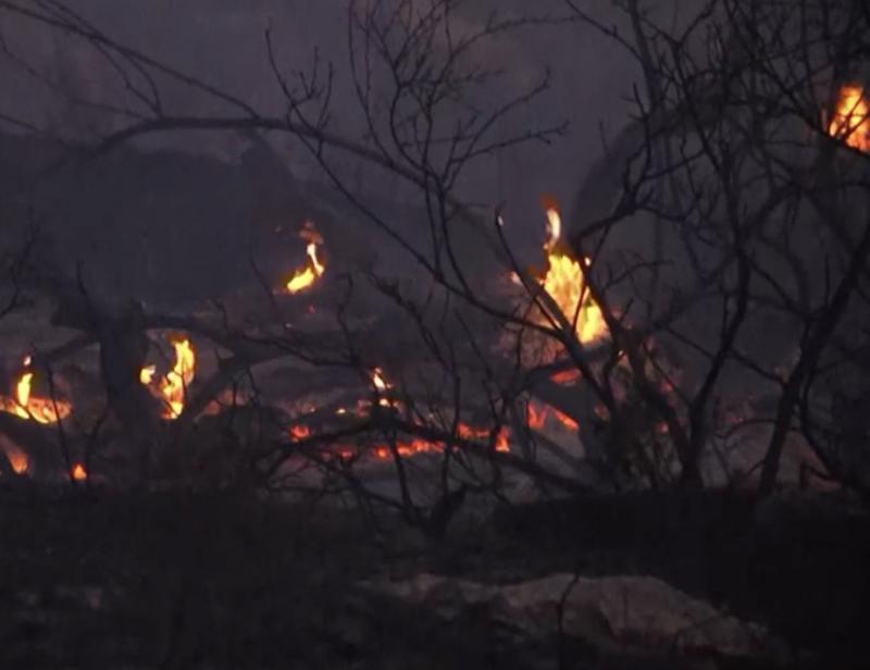 More than 5,000 acres of wood have been burned in Jerusalem mountains