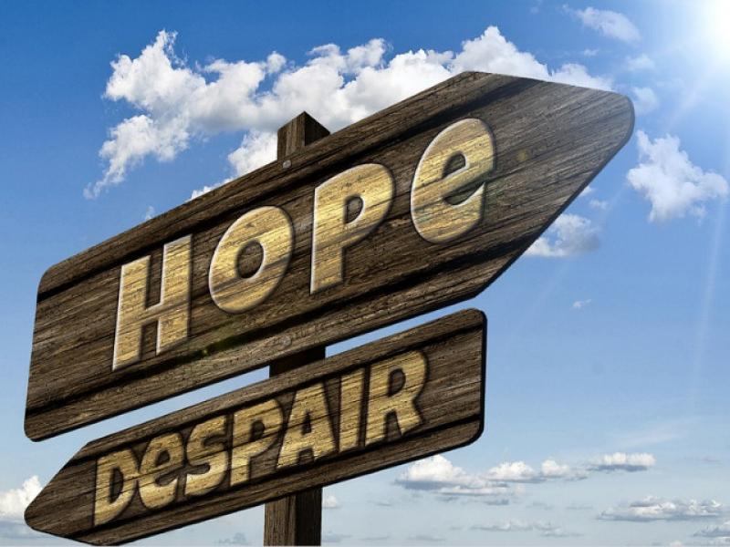 OECD published an optimistic forecast: GDP will grow 4.5% this year and 5% in 2022n 2022