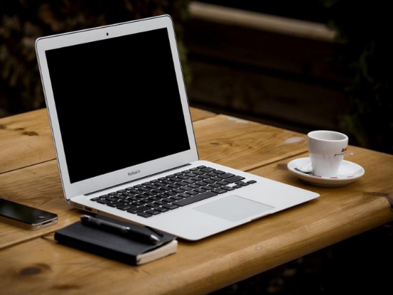 New: increase of 16.5% in the number of job seekers engaged in programming and application analysis