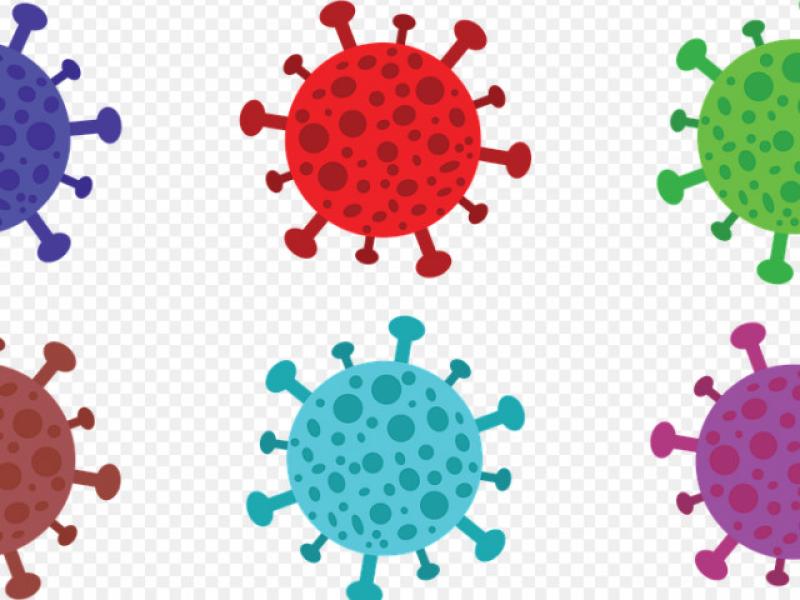   NY Times: Israel is in sixth place in the world in the number of new infections per day