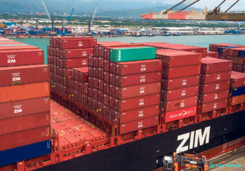 Zim shipping and maritime transport company concluded 2023 with a loss of $2.69 billion