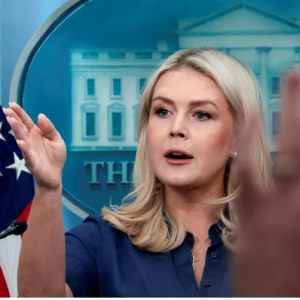 Trump gave Revolutionary Guards recognition of their control over the Hormuz straits