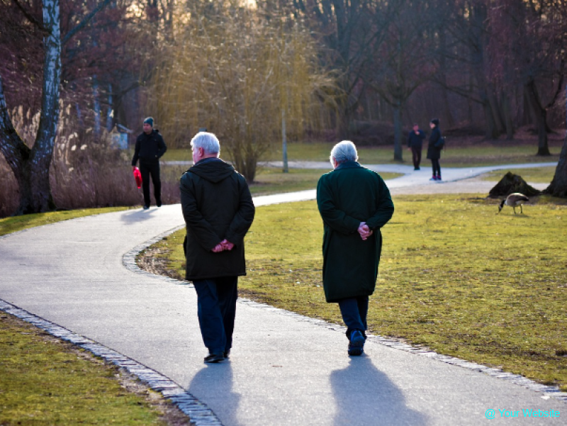 "54% of Israelis of Retirement Age Live on Pensions; 92% Receive Old Age or Disability Benefits"