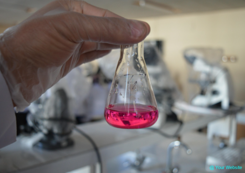 Israel Faces Deepening Brain Drain as Researchers and Scientists Leave in Growing Numbers